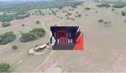 Fazenda em Corguinho - MS