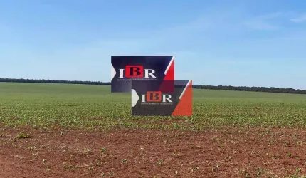 Fazenda em Alcinópolis - Ms