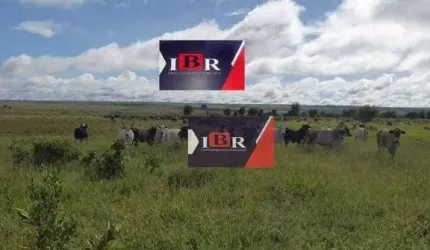 Fazenda em Campo Grande - MS