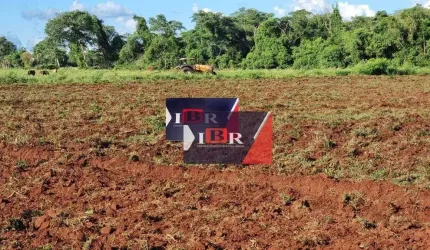 Fazenda em Campo Grande - MS