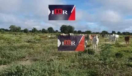 Fazenda em Campo Grande - MS