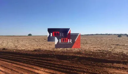 Fazenda em São Jose do Rio Preto - SP