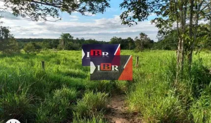 Fazenda em Corguinho - MS
