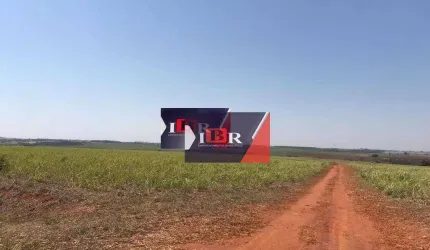 Fazenda em Nipoã - SP