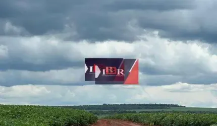 Fazenda em Jaraguari - MS