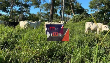 Fazenda em Alcinópolis -  MS