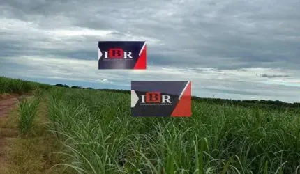 Fazenda em Aparecida do Taboado - MS