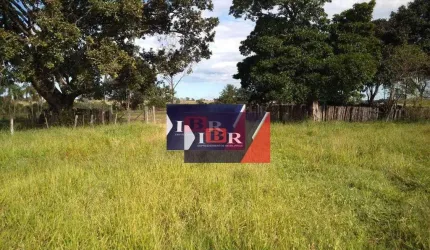 Fazenda em Cassilândia - MS