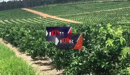 Fazenda em Avaré - SP