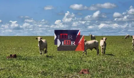 Fazenda em Dois Irmãos do Buriti