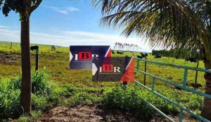 Fazenda em Lizarda - TO