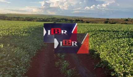 Fazenda em Ribas do Rio Pardo - MS