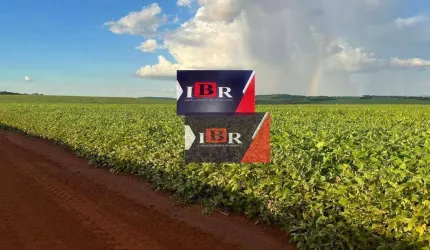 Fazenda em Antônio João- MS