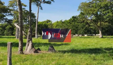 Fazenda em Santo Antônio do Leverger - MT