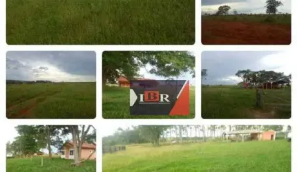 Fazenda em Ribas do Rio Pardo - MS