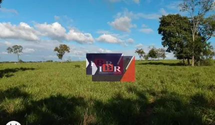 Fazenda em Corguinho - MS