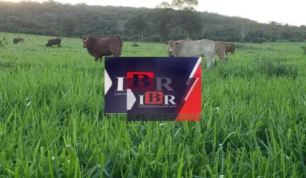 Fazenda em Terenos - MS