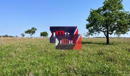 Fazenda em Brasilândia - Ms