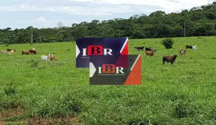 Fazenda em Terenos - MS