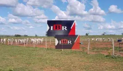 Fazenda em Inocência - MS