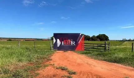 Fazenda em Anaurilândia MS