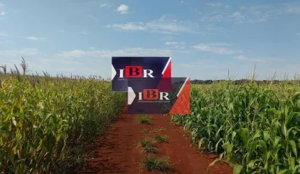 Fazenda em Lacuna Carapã - MS
