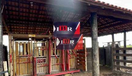 Fazenda em São Gabriel do Oeste - MS