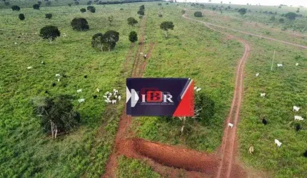 Fazenda em Figueirão - MS