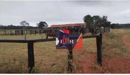 Fazenda em Brasilândia - MS
