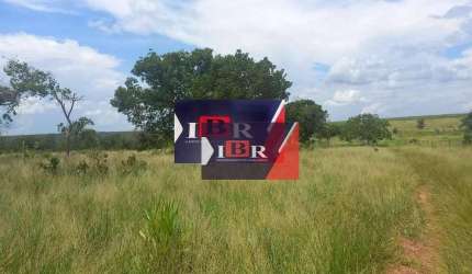 Fazenda em São Gabriel Do Oeste - MS