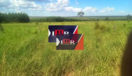 Fazenda em Anaurilândia - MS