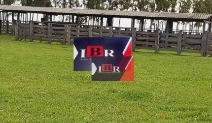 Fazenda em Inocência MS