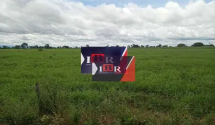 Fazenda em Inocência - MS