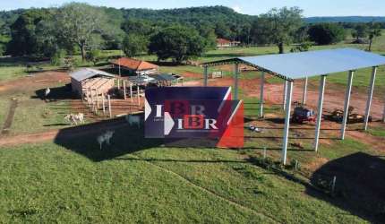 Fazenda em Pedro Gomes - MS