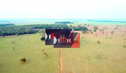 Fazenda em Cassilândia - MS