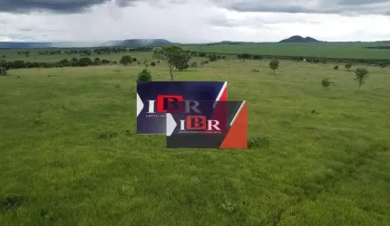 Fazenda em Costa Rica-MS