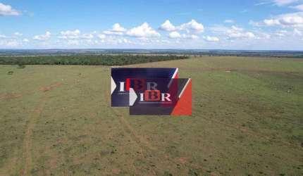 Fazenda em Chapadão do Sul  - MS