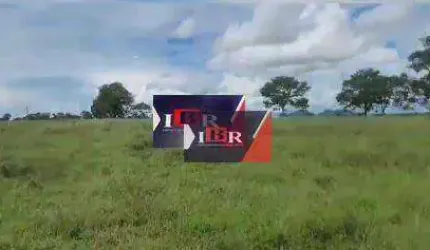 Fazenda em Alcinópolis - MS