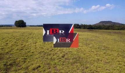 Fazenda em Goiatins - TO