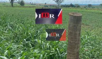 Fazenda em Eldorado - MS