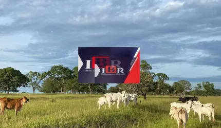Fazenda em Inocência - MS