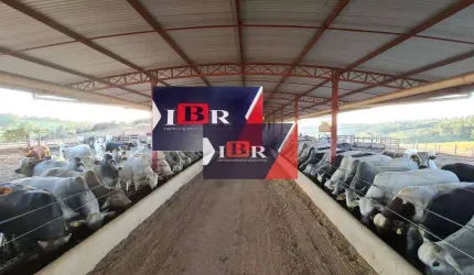 Fazenda em Botucatu - SP