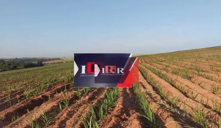 Fazenda em Lins - SP