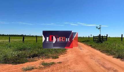 Fazenda em Anaurilândia - MS