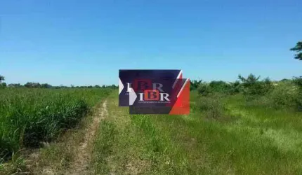 Fazenda em Agua Clara - MS