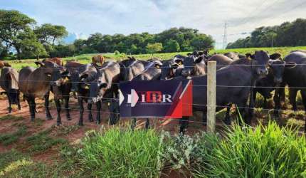 Fazenda em Aparecida do Taboado - MS