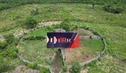 Fazenda em Camapuã - MS