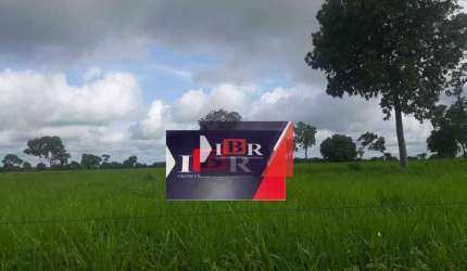 Fazenda em Aquidauana - MS