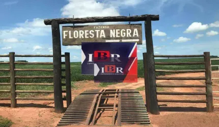Fazenda em Sete Quedas - MS