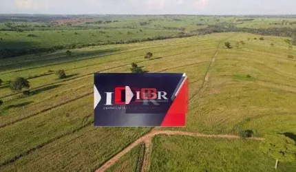 Fazenda em São Jose do Rio Preto - SP